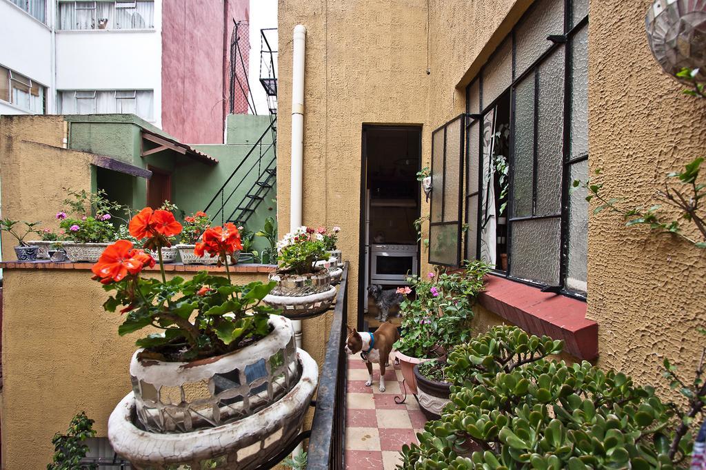 Condechi B And B Cidade do México Exterior foto
